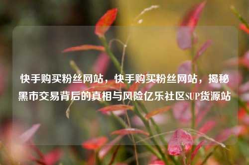 快手购买粉丝网站，快手购买粉丝网站	，揭秘黑市交易背后的真相与风险亿乐社区SUP货源站  第1张