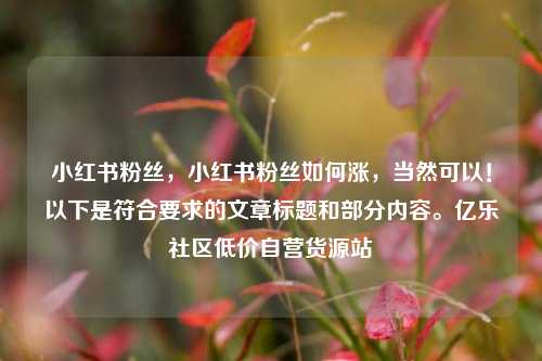 小红书粉丝，小红书粉丝如何涨，当然可以！以下是符合要求的文章标题和部分内容。亿乐社区低价自营货源站  第1张