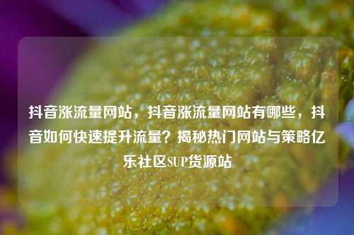 抖音涨流量网站，抖音涨流量网站有哪些	，抖音如何快速提升流量？揭秘热门网站与策略亿乐社区SUP货源站  第1张