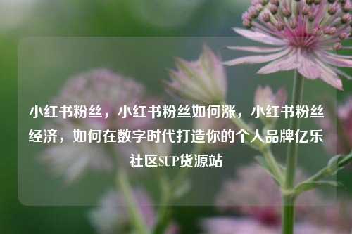 小红书粉丝，小红书粉丝如何涨	，小红书粉丝经济，如何在数字时代打造你的个人品牌亿乐社区SUP货源站  第1张