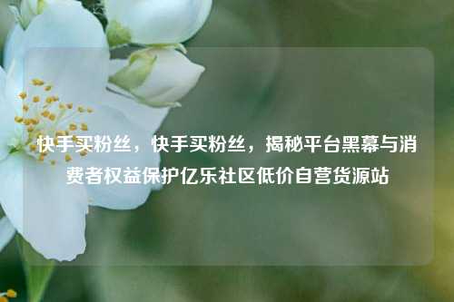 快手买粉丝，快手买粉丝，揭秘平台黑幕与消费者权益保护亿乐社区低价自营货源站  第1张
