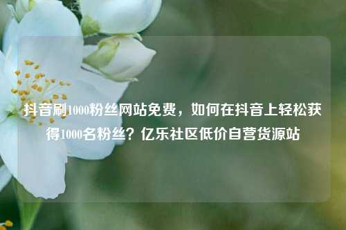 抖音刷1000粉丝网站免费	，如何在抖音上轻松获得1000名粉丝？亿乐社区低价自营货源站  第1张
