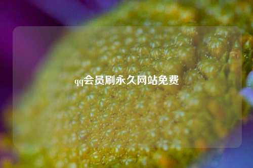 qq会员刷永久网站免费  第1张