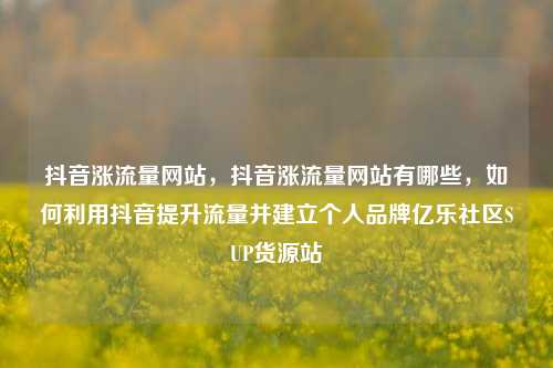 抖音涨流量网站	，抖音涨流量网站有哪些，如何利用抖音提升流量并建立个人品牌亿乐社区SUP货源站  第1张