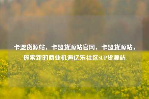 卡盟货源站，卡盟货源站官网，卡盟货源站，探索新的商业机遇亿乐社区SUP货源站  第1张