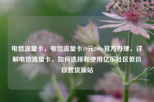 电信流量卡，电信流量卡19元200g官方办理，详解电信流量卡	，如何选择和使用亿乐社区低价自营货源站  第1张