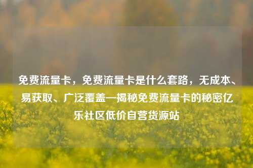 免费流量卡	，免费流量卡是什么套路，无成本、易获取	、广泛覆盖—揭秘免费流量卡的秘密亿乐社区低价自营货源站  第1张