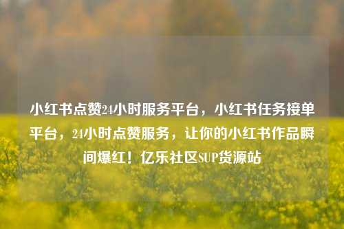 小红书点赞24小时服务平台	，小红书任务接单平台，24小时点赞服务，让你的小红书作品瞬间爆红！亿乐社区SUP货源站  第1张