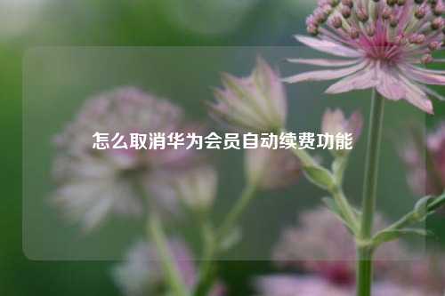 怎么取消华为会员自动续费功能  第1张