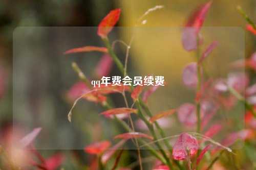 qq年费会员续费  第1张