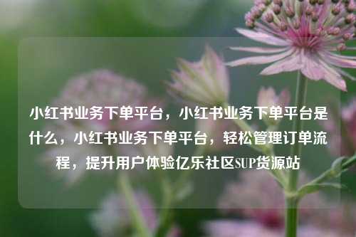 小红书业务下单平台，小红书业务下单平台是什么	，小红书业务下单平台，轻松管理订单流程，提升用户体验亿乐社区SUP货源站  第1张