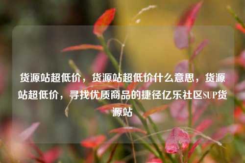货源站超低价，货源站超低价什么意思，货源站超低价，寻找优质商品的捷径亿乐社区SUP货源站  第1张