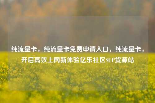 纯流量卡	，纯流量卡免费申请入口，纯流量卡，开启高效上网新体验亿乐社区SUP货源站  第1张