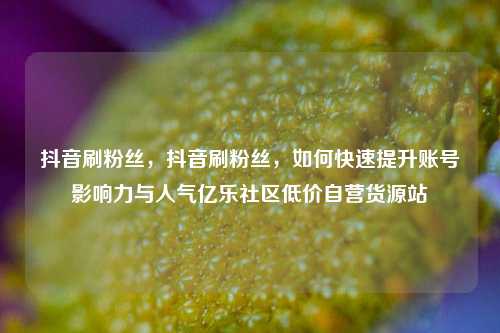 抖音刷粉丝，抖音刷粉丝，如何快速提升账号影响力与人气亿乐社区低价自营货源站  第1张