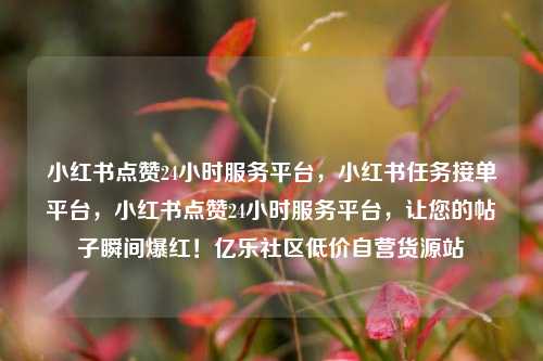 小红书点赞24小时服务平台，小红书任务接单平台，小红书点赞24小时服务平台，让您的帖子瞬间爆红！亿乐社区低价自营货源站  第1张