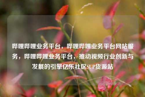 哔哩哔哩业务平台	，哔哩哔哩业务平台网站服务，哔哩哔哩业务平台，推动视频行业创新与发展的引擎亿乐社区SUP货源站  第1张