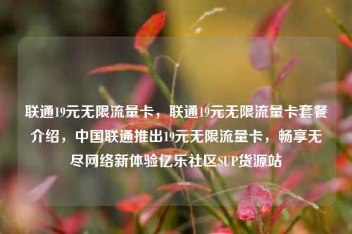 联通19元无限流量卡	，联通19元无限流量卡套餐介绍，中国联通推出19元无限流量卡，畅享无尽网络新体验亿乐社区SUP货源站  第1张