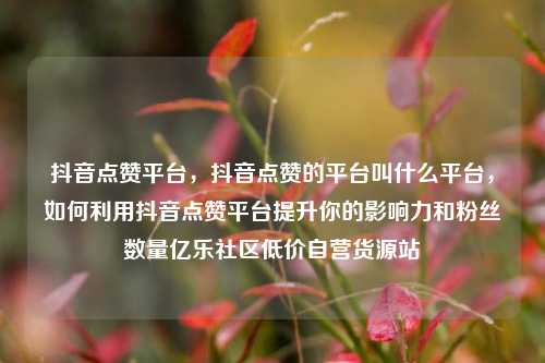 抖音点赞平台，抖音点赞的平台叫什么平台	，如何利用抖音点赞平台提升你的影响力和粉丝数量亿乐社区低价自营货源站  第1张
