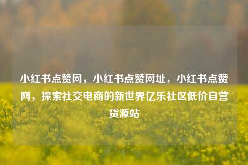小红书点赞网	，小红书点赞网址，小红书点赞网，探索社交电商的新世界亿乐社区低价自营货源站  第1张