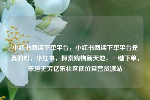 小红书阅读下单平台	，小红书阅读下单平台是真的吗，小红书，探索购物新天地	，一键下单，乐趣无穷亿乐社区低价自营货源站  第1张