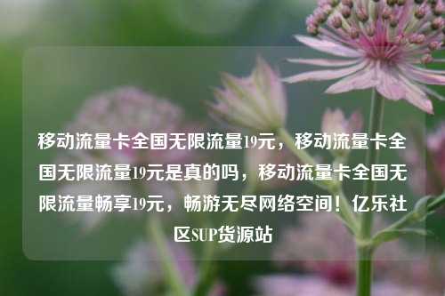 移动流量卡全国无限流量19元	，移动流量卡全国无限流量19元是真的吗，移动流量卡全国无限流量畅享19元，畅游无尽网络空间！亿乐社区SUP货源站  第1张