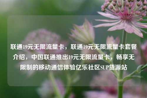 联通19元无限流量卡	，联通19元无限流量卡套餐介绍，中国联通推出19元无限流量卡，畅享无限制的移动通信体验亿乐社区SUP货源站  第1张