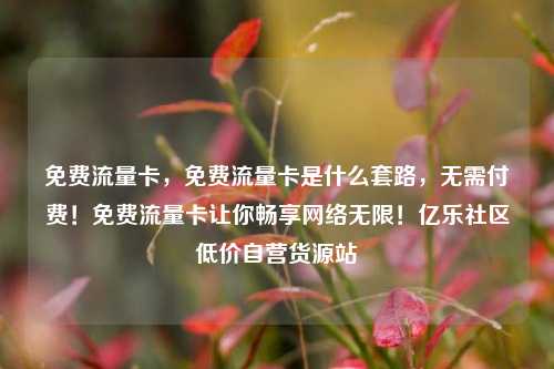 免费流量卡，免费流量卡是什么套路	，无需付费！免费流量卡让你畅享网络无限！亿乐社区低价自营货源站  第1张