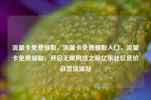 流量卡免费领取，流量卡免费领取入口，流量卡免费领取，开启无限网络之旅亿乐社区低价自营货源站  第1张