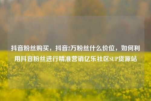 抖音粉丝购买，抖音2万粉丝什么价位，如何利用抖音粉丝进行精准营销亿乐社区SUP货源站  第1张