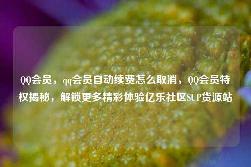 QQ会员，qq会员自动续费怎么取消，QQ会员特权揭秘	，解锁更多精彩体验亿乐社区SUP货源站  第1张
