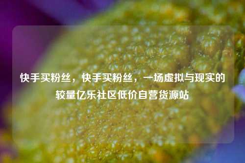 快手买粉丝，快手买粉丝，一场虚拟与现实的较量亿乐社区低价自营货源站  第1张
