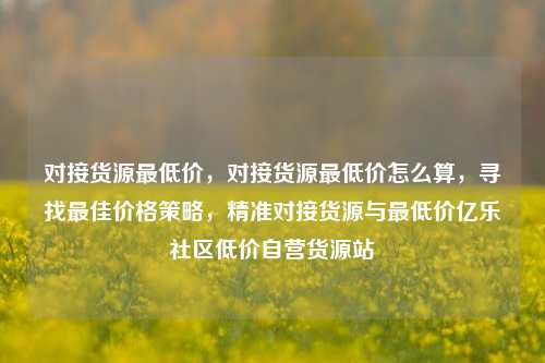对接货源最低价，对接货源最低价怎么算	，寻找最佳价格策略，精准对接货源与最低价亿乐社区低价自营货源站  第1张