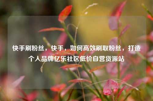 快手刷粉丝	，快手，如何高效刷取粉丝，打造个人品牌亿乐社区低价自营货源站  第1张