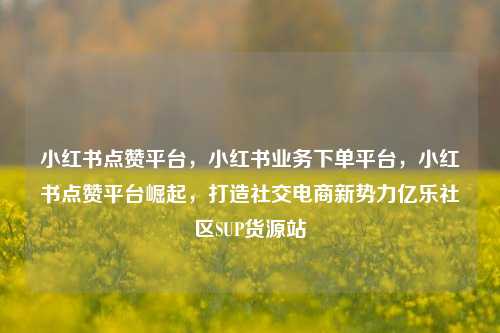 小红书点赞平台，小红书业务下单平台，小红书点赞平台崛起	，打造社交电商新势力亿乐社区SUP货源站  第1张