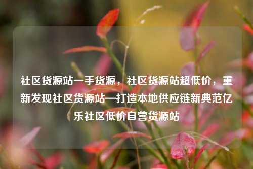 社区货源站一手货源，社区货源站超低价，重新发现社区货源站—打造本地供应链新典范亿乐社区低价自营货源站  第1张