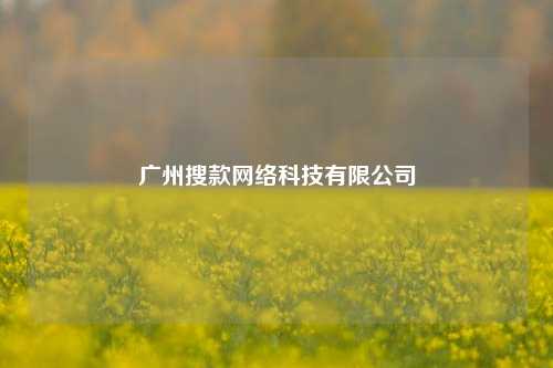 广州搜款网络科技有限公司  第1张