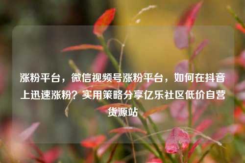 涨粉平台，微信视频号涨粉平台，如何在抖音上迅速涨粉？实用策略分享亿乐社区低价自营货源站  第1张