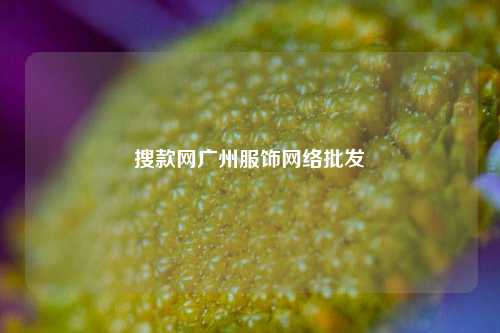 搜款网广州服饰网络批发  第1张