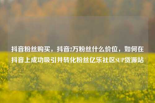 抖音粉丝购买，抖音2万粉丝什么价位，如何在抖音上成功吸引并转化粉丝亿乐社区SUP货源站  第1张
