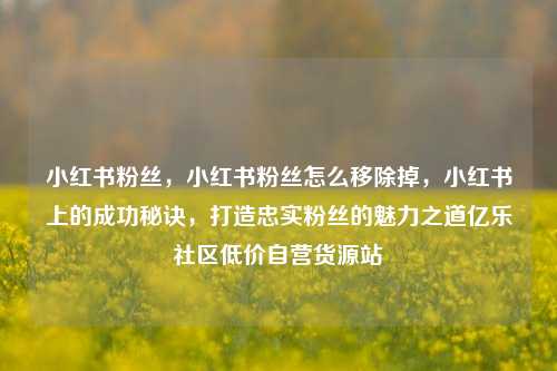 小红书粉丝，小红书粉丝怎么移除掉，小红书上的成功秘诀	，打造忠实粉丝的魅力之道亿乐社区低价自营货源站  第1张