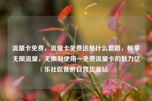 流量卡免费	，流量卡免费送是什么套路，畅享无限流量，无限制使用—免费流量卡的魅力亿乐社区低价自营货源站  第1张