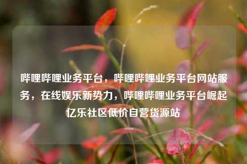 哔哩哔哩业务平台	，哔哩哔哩业务平台网站服务，在线娱乐新势力，哔哩哔哩业务平台崛起亿乐社区低价自营货源站  第1张