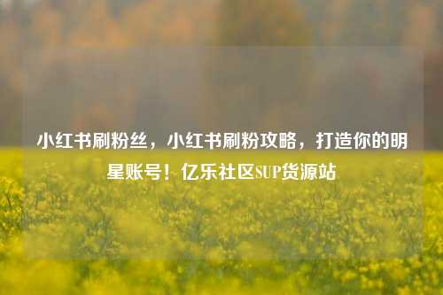 小红书刷粉丝，小红书刷粉攻略，打造你的明星账号！亿乐社区SUP货源站  第1张