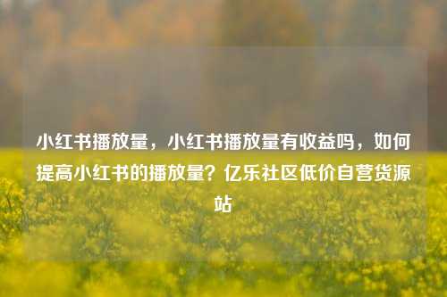 小红书播放量，小红书播放量有收益吗	，如何提高小红书的播放量？亿乐社区低价自营货源站  第1张