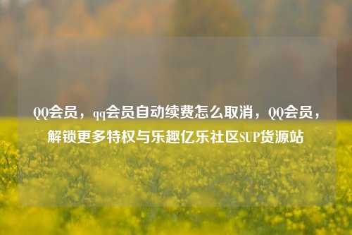 QQ会员，qq会员自动续费怎么取消，QQ会员	，解锁更多特权与乐趣亿乐社区SUP货源站  第1张