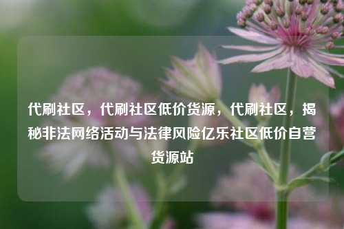代刷社区，代刷社区低价货源	，代刷社区，揭秘非法网络活动与法律风险亿乐社区低价自营货源站  第1张