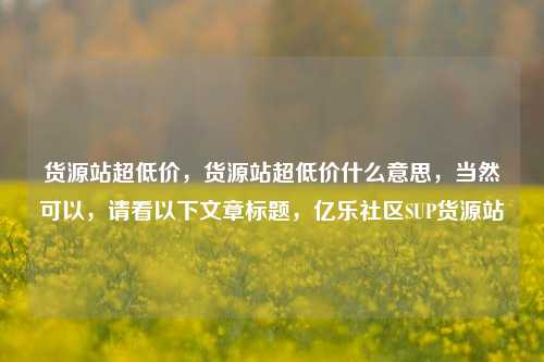 货源站超低价，货源站超低价什么意思	，当然可以，请看以下文章标题，亿乐社区SUP货源站  第1张