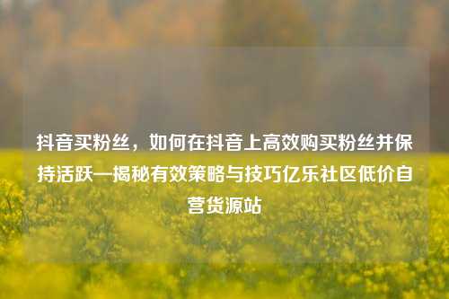 抖音买粉丝，如何在抖音上高效购买粉丝并保持活跃—揭秘有效策略与技巧亿乐社区低价自营货源站  第1张