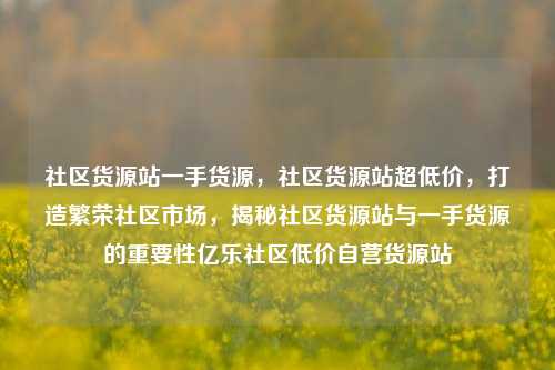 社区货源站一手货源，社区货源站超低价，打造繁荣社区市场	，揭秘社区货源站与一手货源的重要性亿乐社区低价自营货源站  第1张