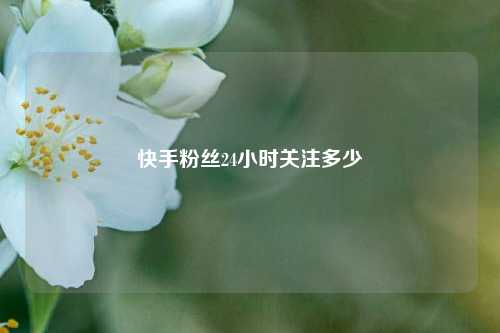快手粉丝24小时关注多少  第1张